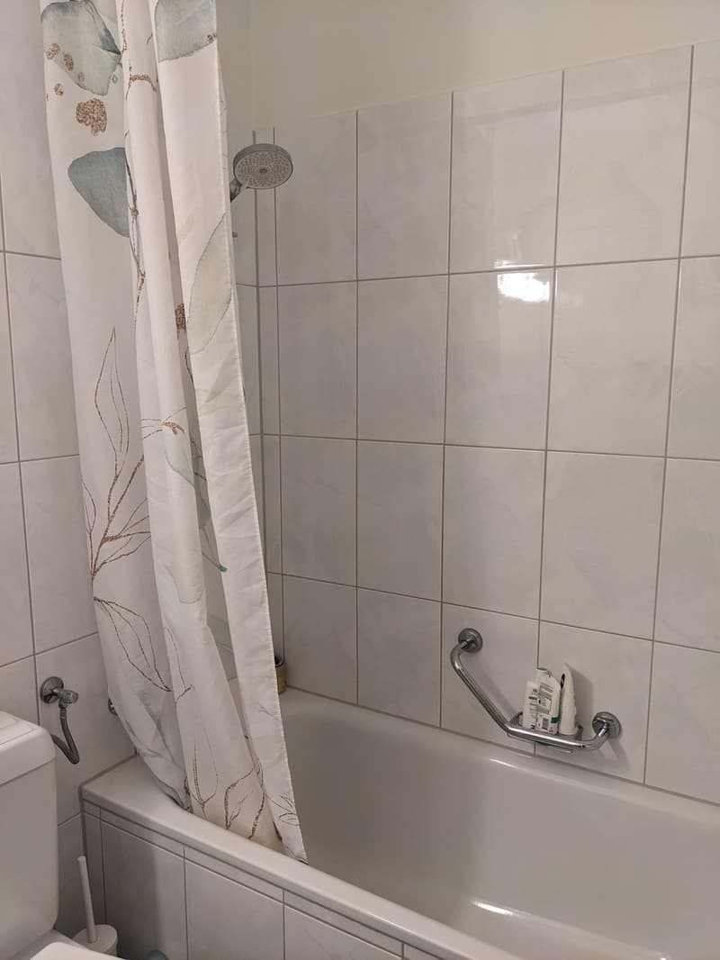 Grosses möbliertes Zimmer in 2er WG (24m2 im beliebten Gundeli nähe SBB) befristet für 6 Monate (4)