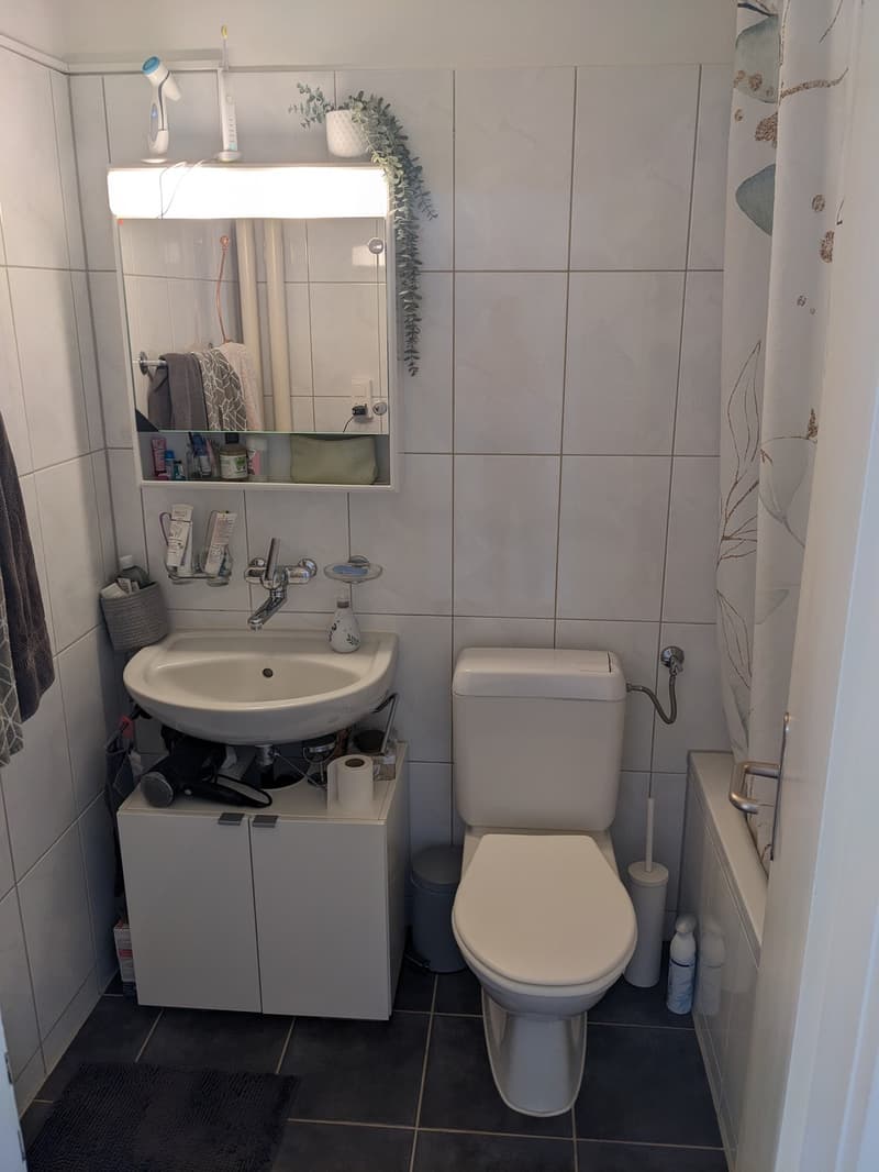 Grosses möbliertes Zimmer in 2er WG (24m2 im beliebten Gundeli nähe SBB) befristet für 6 Monate (3)