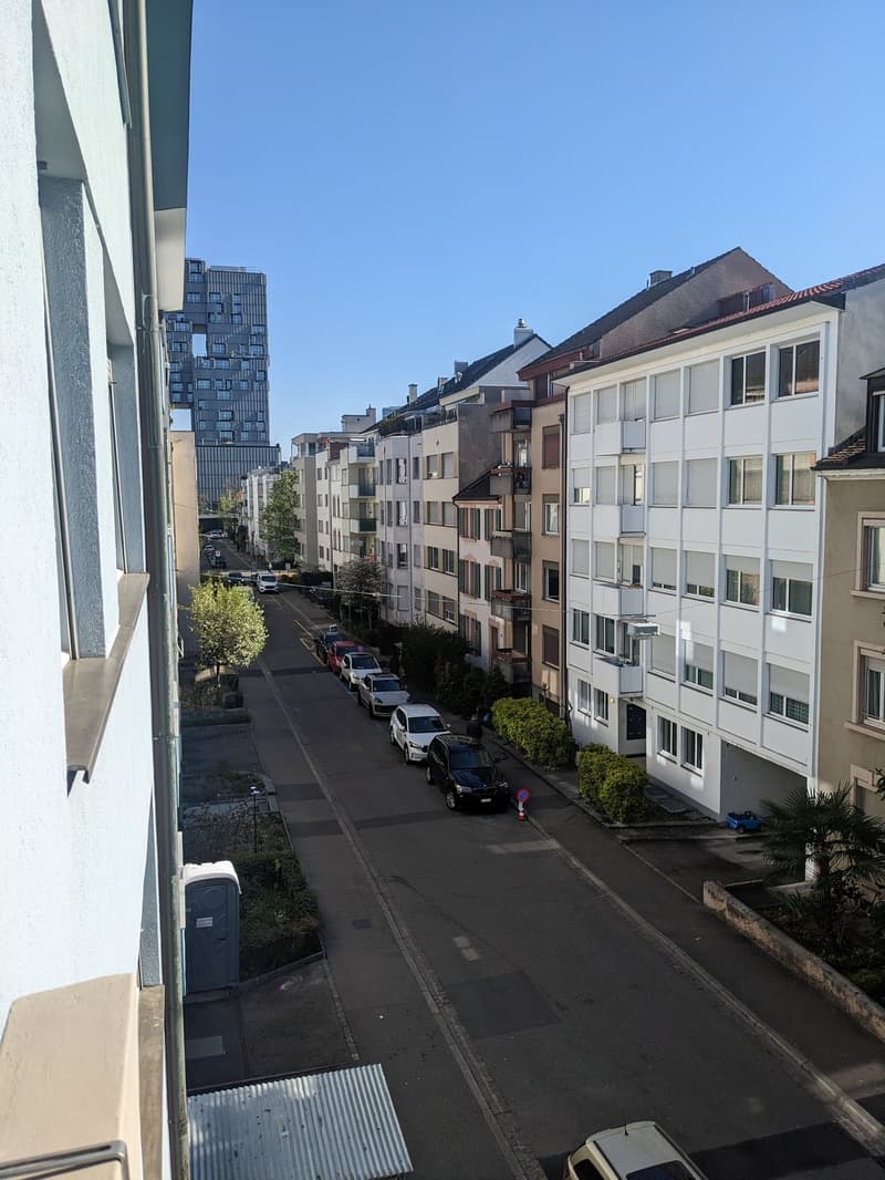 Grosses möbliertes Zimmer in 2er WG (24m2 im beliebten Gundeli nähe SBB) befristet für 6 Monate (9)