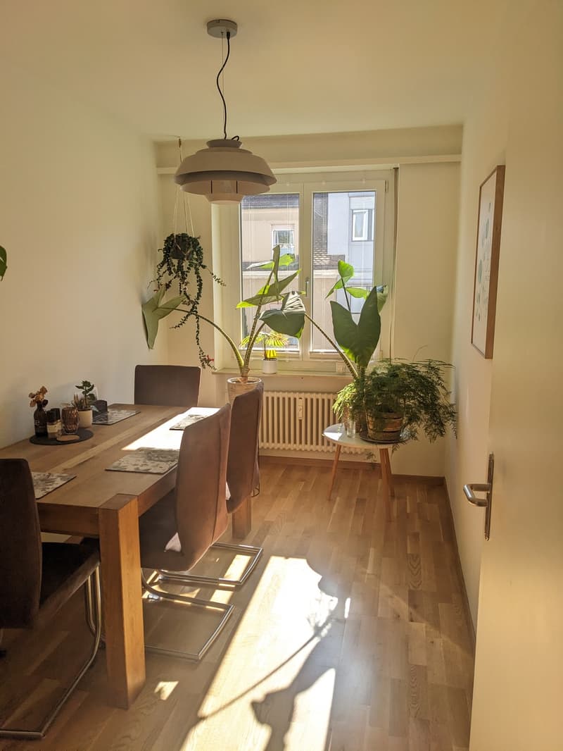 Grosses möbliertes Zimmer in 2er WG (24m2 im beliebten Gundeli nähe SBB) befristet für 6 Monate (6)