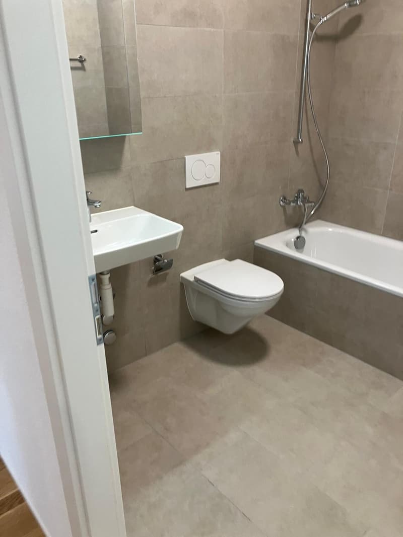 Appartement récent 3,5 pièces (3)