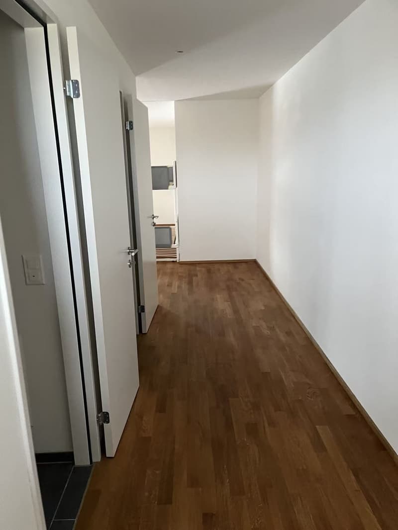 Grosszügiges 1.5-Zimmer-Studio (77.5 m²) mit Loggia nur 5 Min. zum Bahnhof (5)