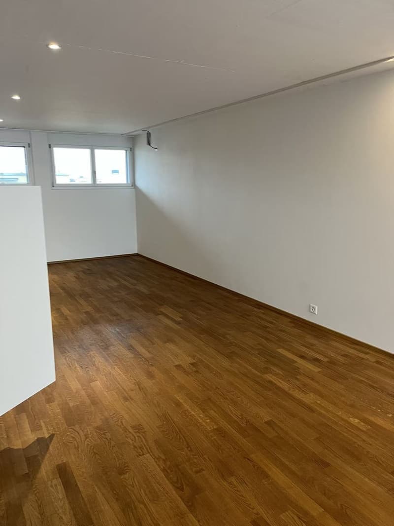 Grosszügiges 1.5-Zimmer-Studio (77.5 m²) mit Loggia nur 5 Min. zum Bahnhof (4)