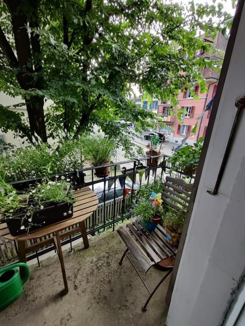 Helles Zimmer (17 m²) in charmanter 2.5-Zimmer-WG am Cäcilienplatz (8)