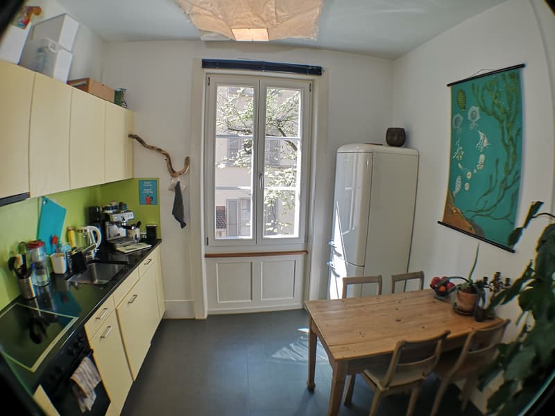 Helles Zimmer (17 m²) in charmanter 2.5-Zimmer-WG am Cäcilienplatz (6)