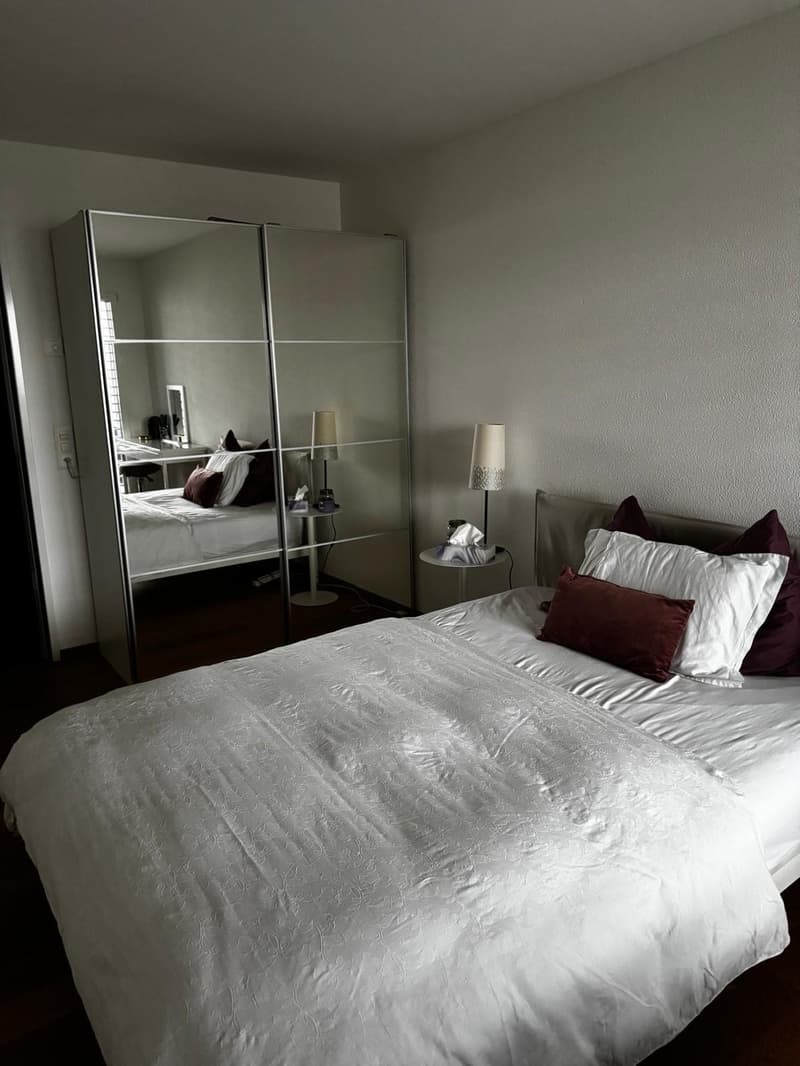 Modernes 1 Zimmer mit Balkon in Apartment in Wollerau (2)