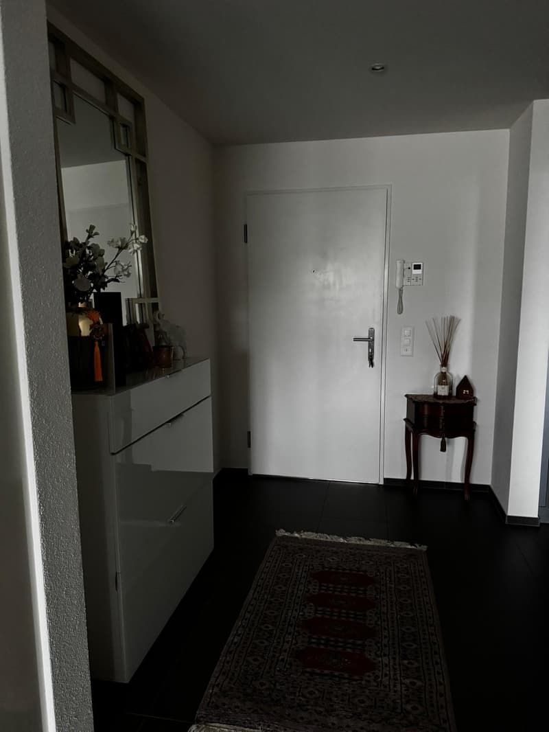 Modernes 1 Zimmer mit Balkon in Apartment in Wollerau (4)