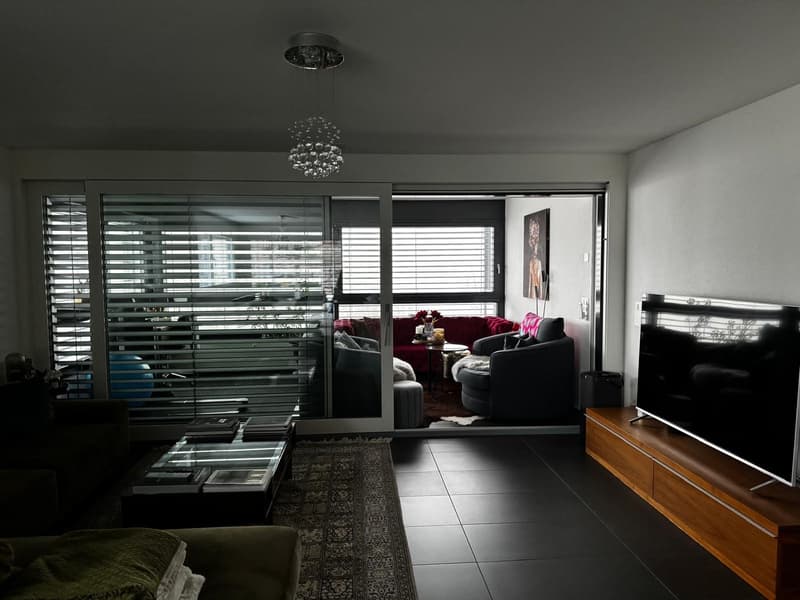 Modernes 1 Zimmer mit Balkon in Apartment in Wollerau (7)