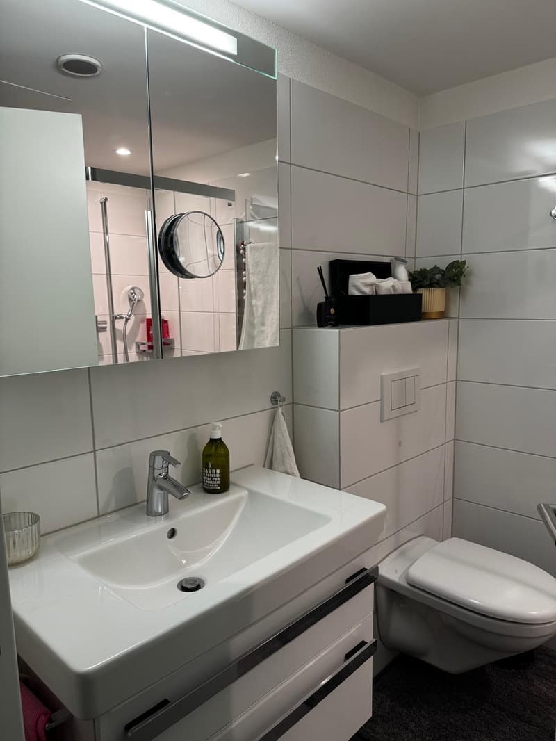 Modernes 1 Zimmer mit Balkon in Apartment in Wollerau (3)