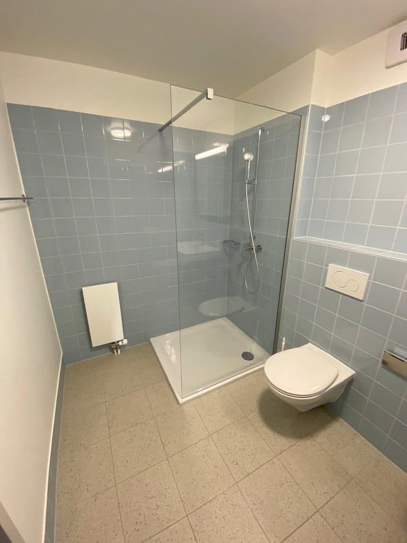 Appartement 3,5 pièces (chambre) Nyon (7)
