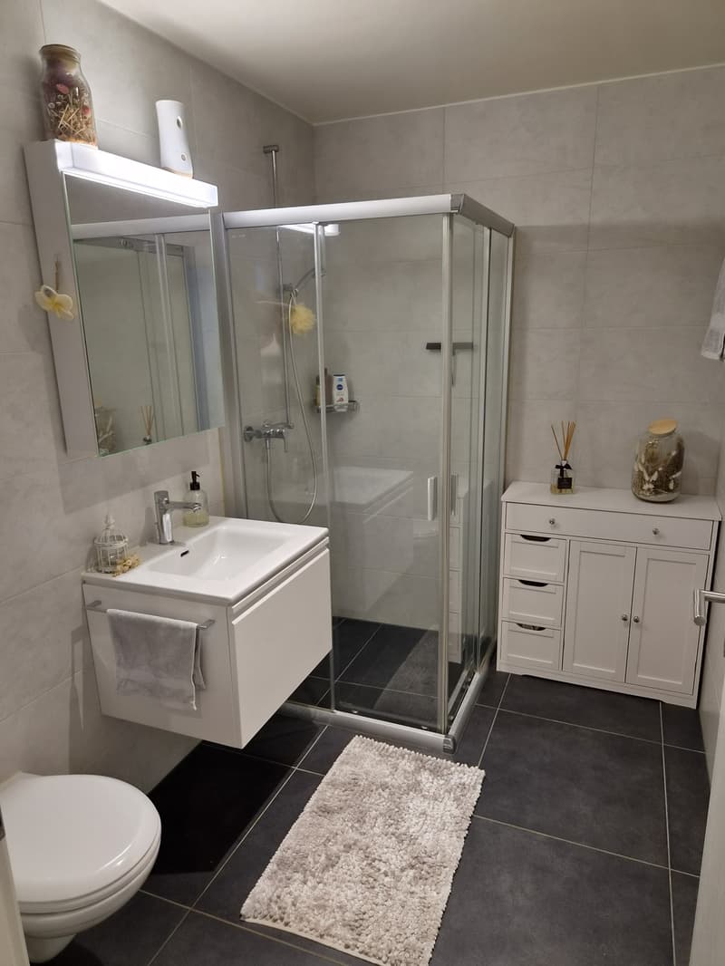 Appartement 3 ½ pièces, 1553 Châtonnaye (2)