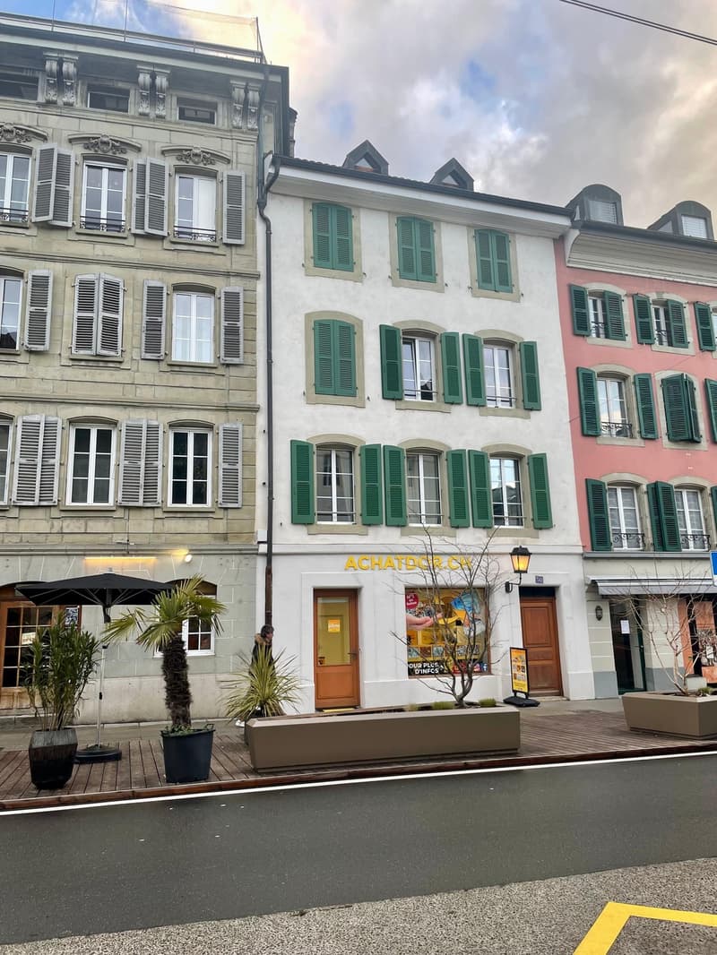 Studio neuf dans un immeuble d'époque (2)