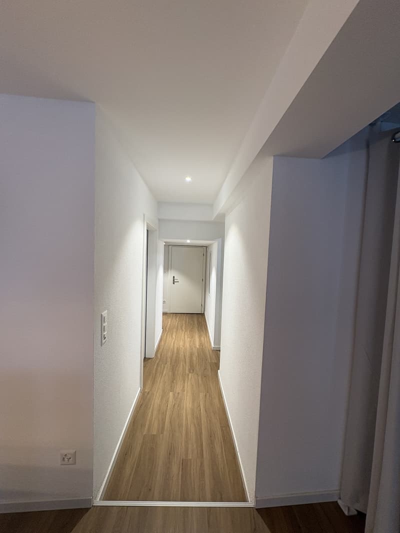 Studio neuf dans un immeuble d'époque (4)