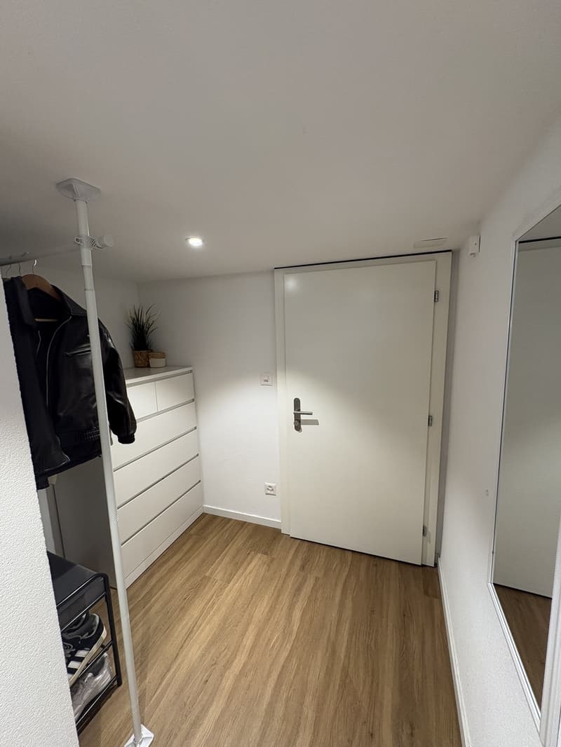Studio neuf dans un immeuble d'époque (5)