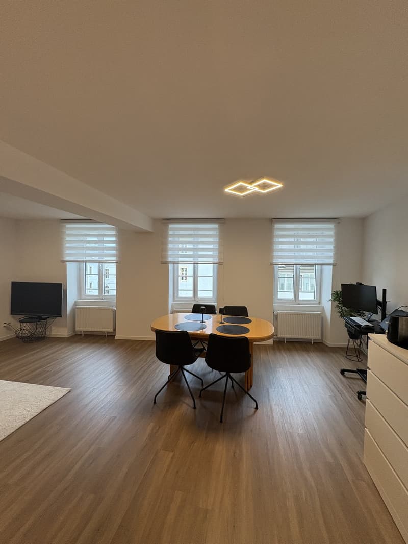 Studio neuf dans un immeuble d'époque (10)