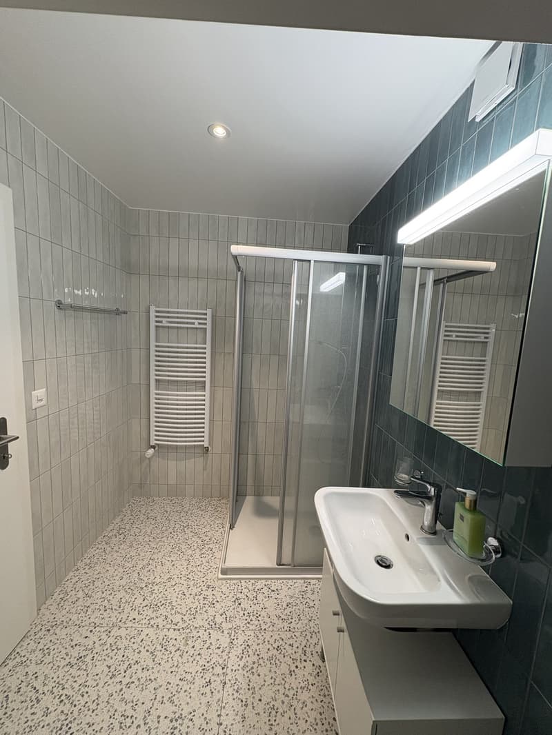 Studio neuf dans un immeuble d'époque (7)