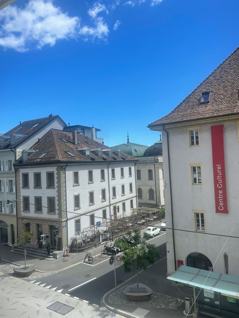 Studio neuf dans un immeuble d'époque (3)