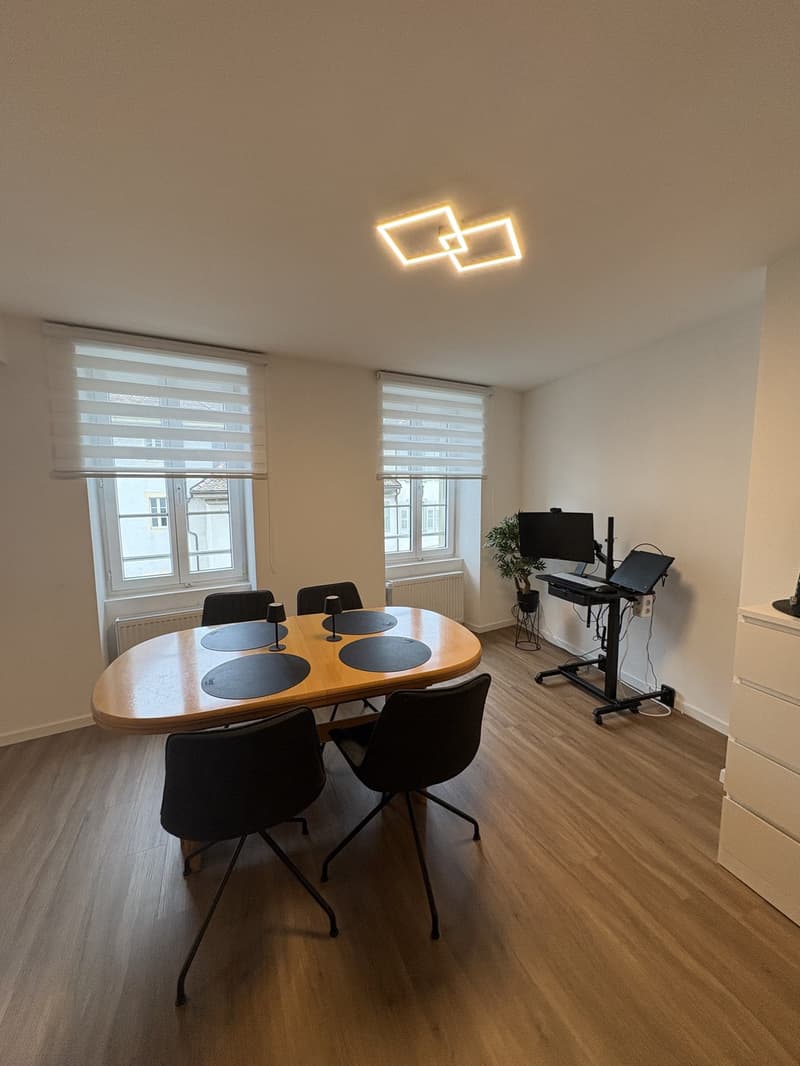 Studio neuf dans un immeuble d'époque (11)