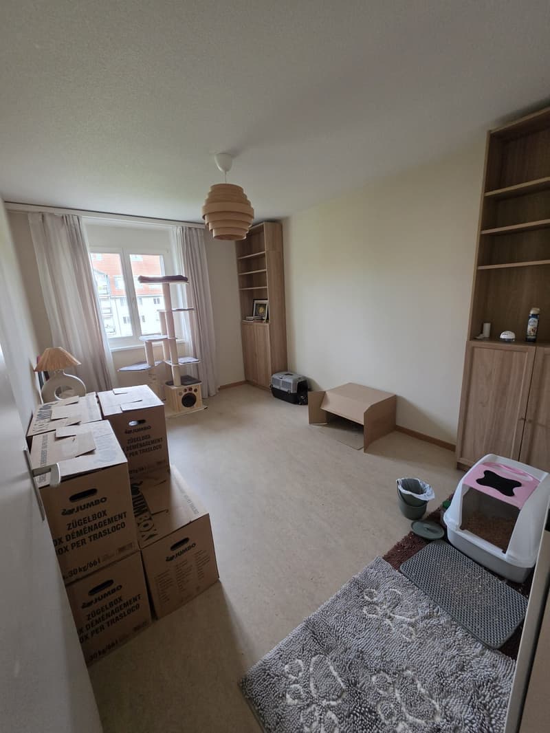 Grosszügige 3.5-Zimmer-Wohnung mit grossem Balkon Nachmieter/in gesucht, Möbel übernehmbar (4)
