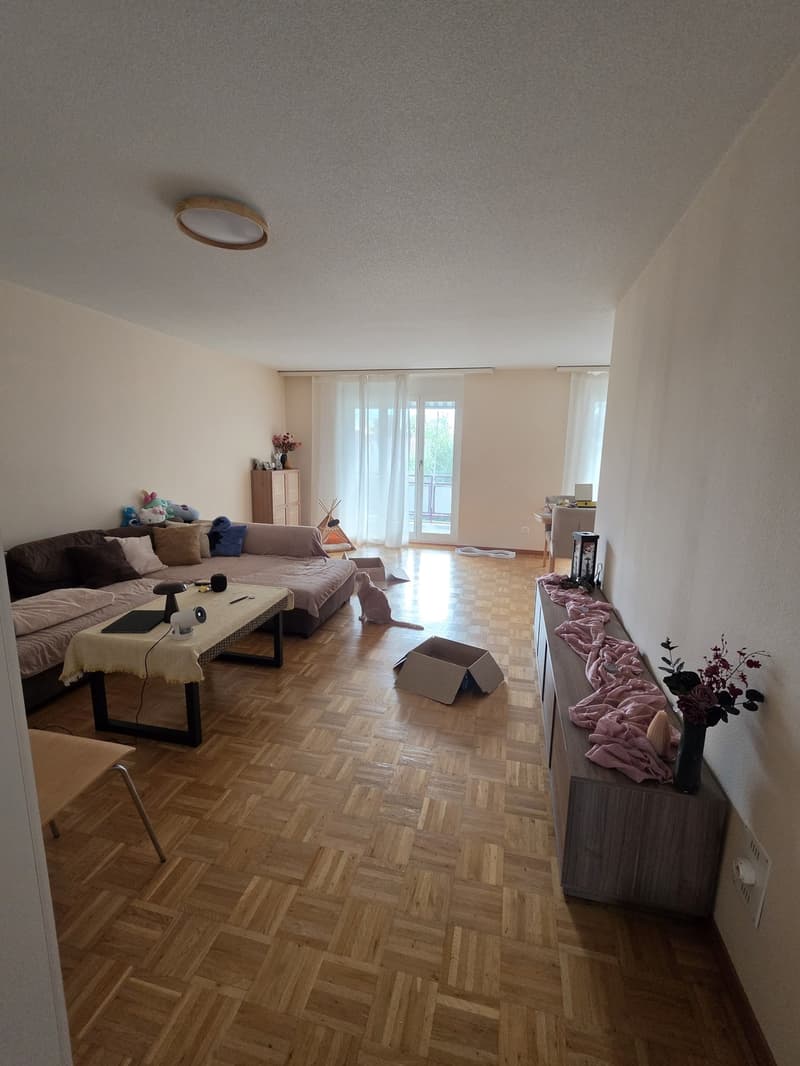 Grosszügige 3.5-Zimmer-Wohnung mit grossem Balkon Nachmieter/in gesucht, Möbel übernehmbar (7)