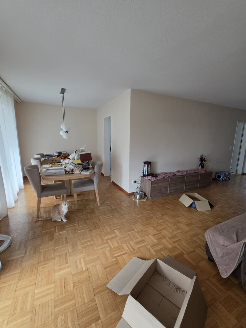 Grosszügige 3.5-Zimmer-Wohnung mit grossem Balkon Nachmieter/in gesucht, Möbel übernehmbar (10)