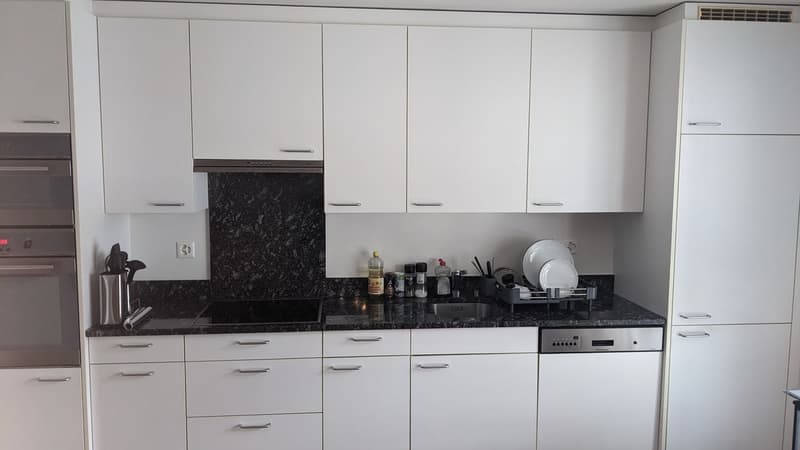 Rent a 3 ½ rooms apartment in Glis (4)