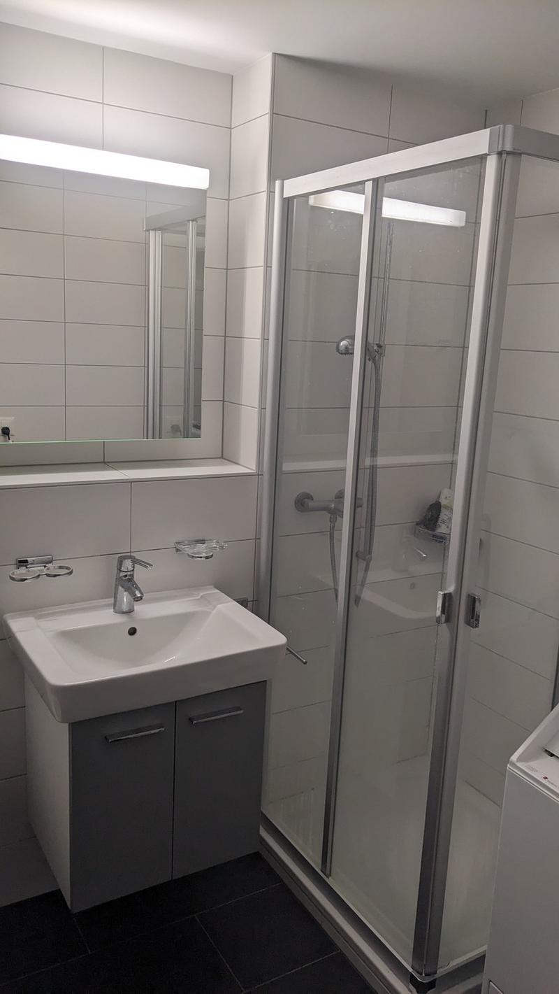 Rent a 3 ½ rooms apartment in Glis (2)