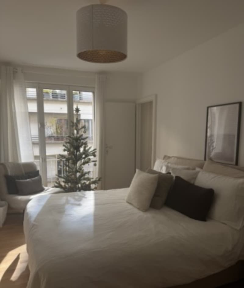 Furnished 2.5-Room Apartment for Sublease in Rive (Geneva) (5)
