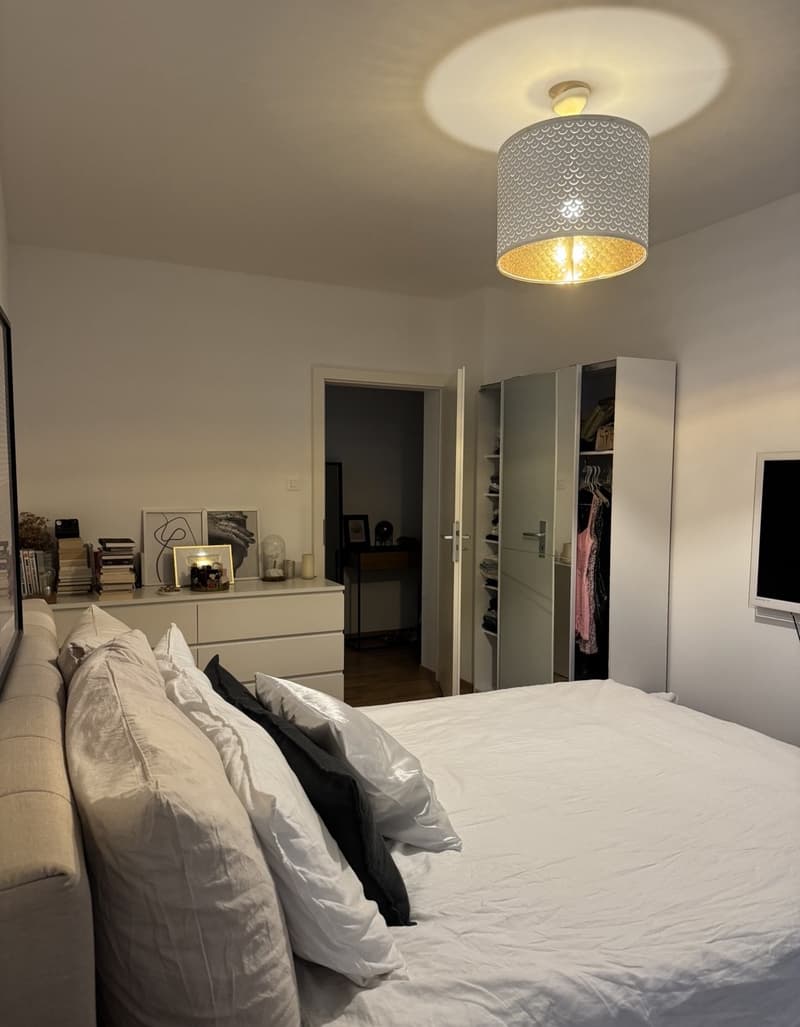 Furnished 2.5-Room Apartment for Sublease in Rive (Geneva) (4)