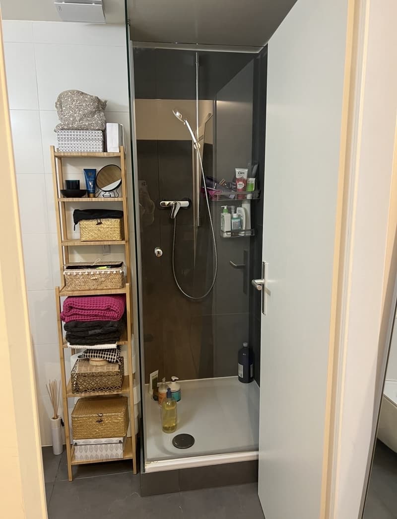 Furnished 2.5-Room Apartment for Sublease in Rive (Geneva) (8)