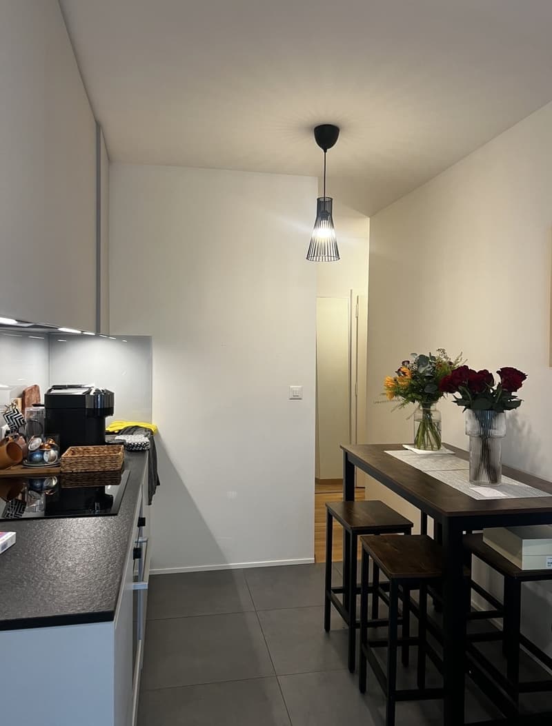 Furnished 2.5-Room Apartment for Sublease in Rive (Geneva) (7)