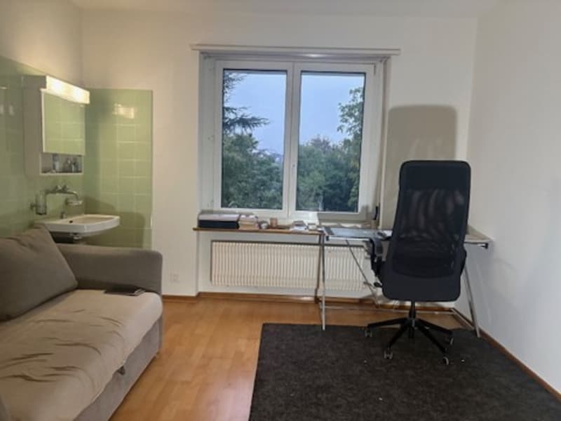 Zimmer zu vermieten in einem großen Haus in der Nähe von Basel (nur 500 CHF) (2)