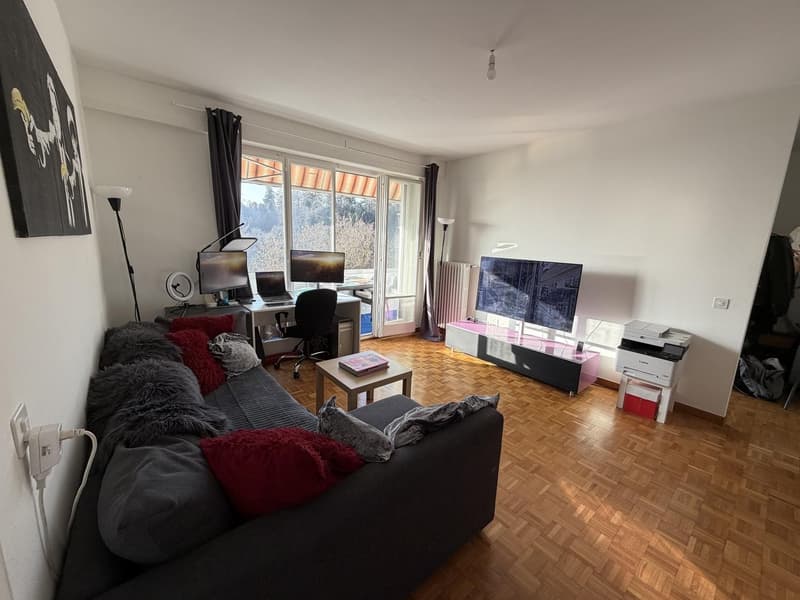 LAUSANNE / CHUV - 2 PIÈCES AVEC GRAND BALCON ET VUE DÉGAGÉE (4)