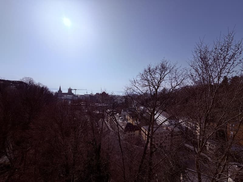 LAUSANNE / CHUV - 2 PIÈCES AVEC GRAND BALCON ET VUE DÉGAGÉE (7)