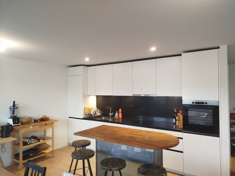 Grand 3.5 pièces moderne et lumineux (2)