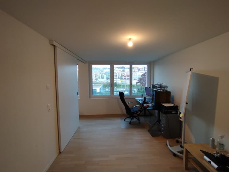 Grand 3.5 pièces moderne et lumineux (7)