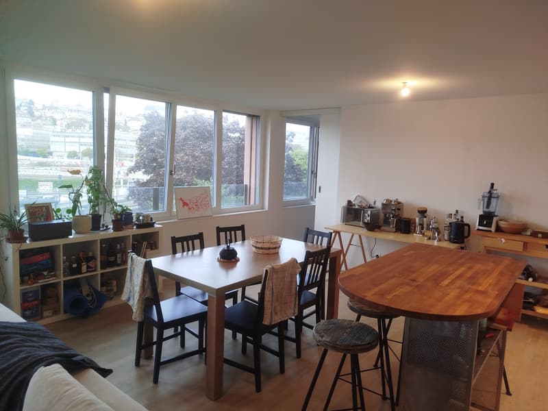 Grand 3.5 pièces moderne et lumineux (3)