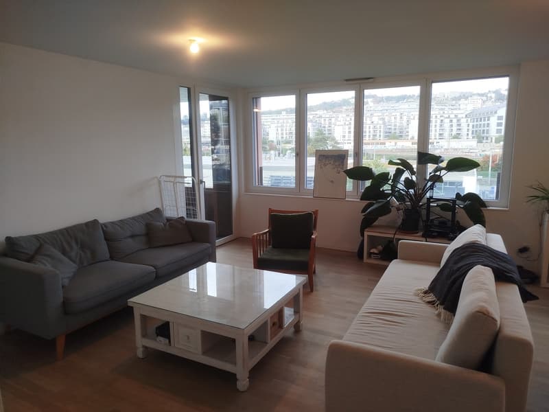 Grand 3.5 pièces moderne et lumineux (4)
