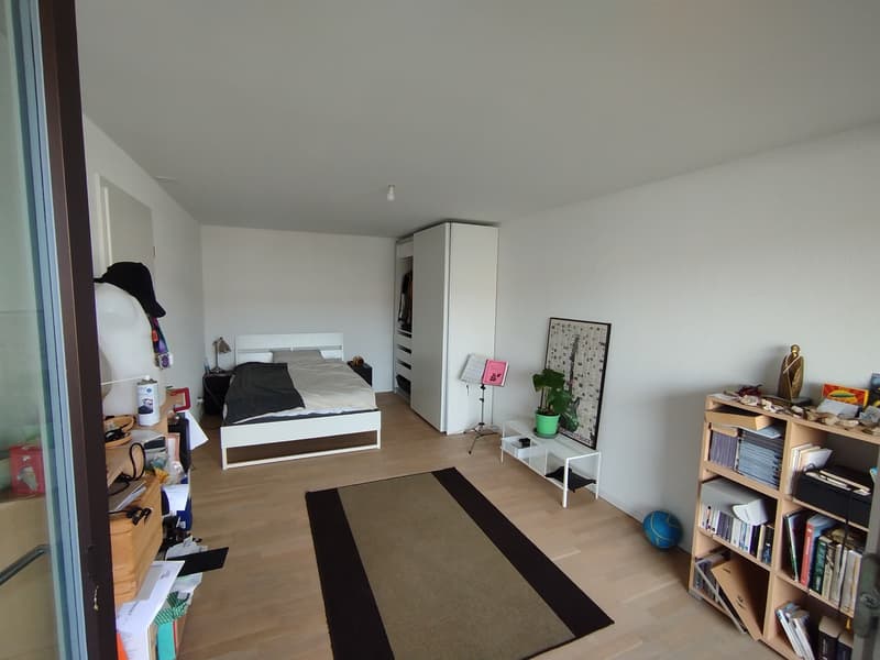 Grand 3.5 pièces moderne et lumineux (6)