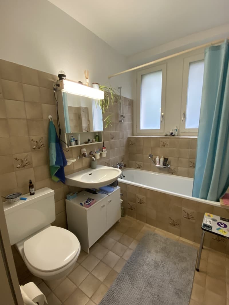 Nachmiete für 2.5 Zimmerwohnung gesucht (4)