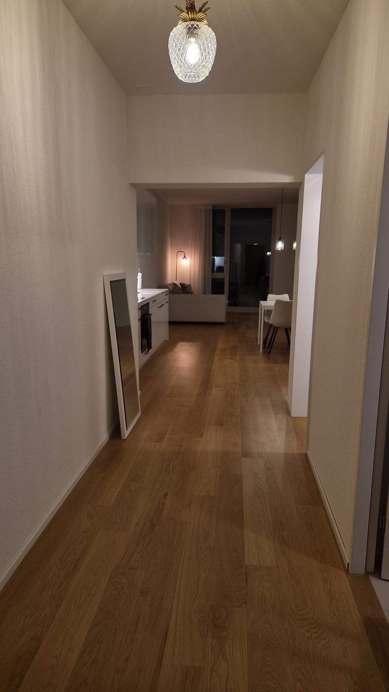 Moderne, möblierte 2.5-Zimmerwohnung für 3 Monate zur Untermiete (2)