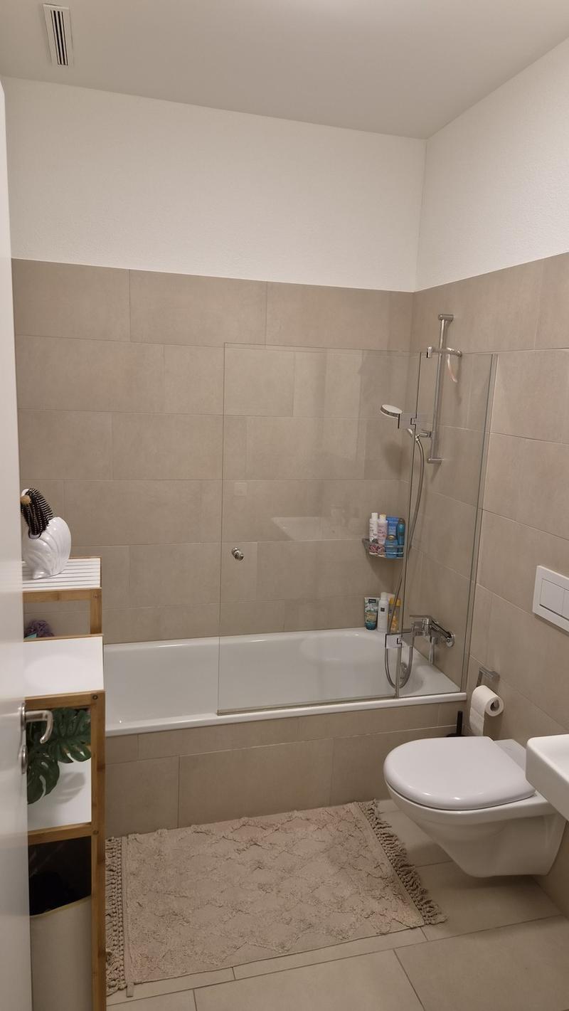 Moderne, möblierte 2.5-Zimmerwohnung für 3 Monate zur Untermiete (5)