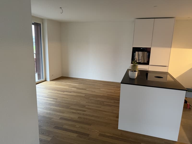Nachmieter für schöne Neubauwohnung gesucht (3)