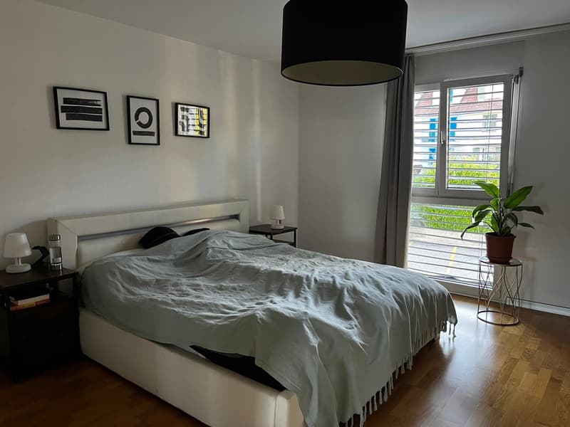 150 m² Wohntraum in Olten möbliert, lichtdurchflutet & naturnah | JanFeb 2027. (9)