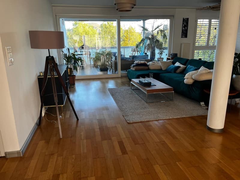 150 m² Wohntraum in Olten möbliert, lichtdurchflutet & naturnah | JanFeb 2027. (2)