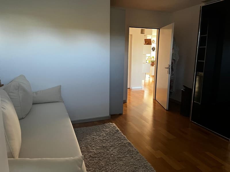 150 m² Wohntraum in Olten möbliert, lichtdurchflutet & naturnah | JanFeb 2027. (6)