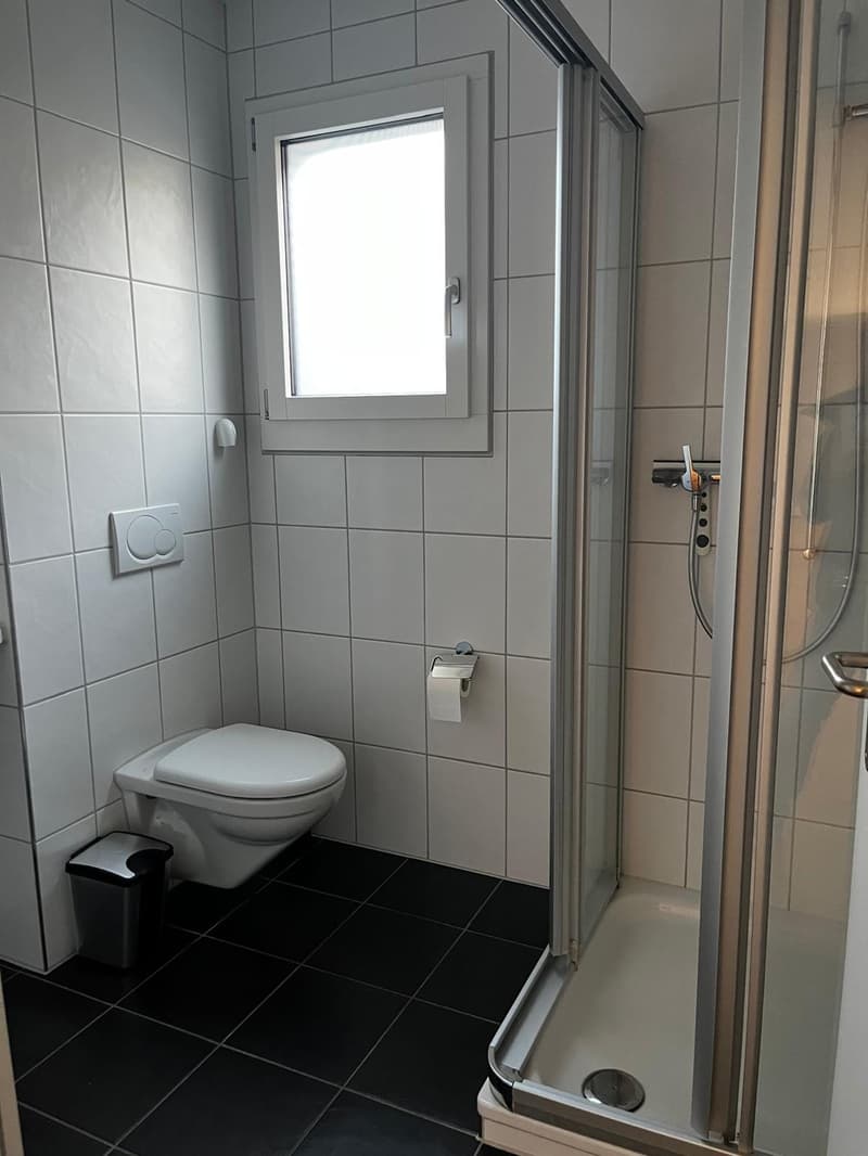 150 m² Wohntraum in Olten möbliert, lichtdurchflutet & naturnah | JanFeb 2027. (5)