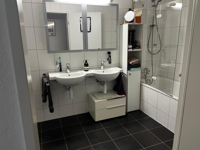 150 m² Wohntraum in Olten möbliert, lichtdurchflutet & naturnah | JanFeb 2027. (3)
