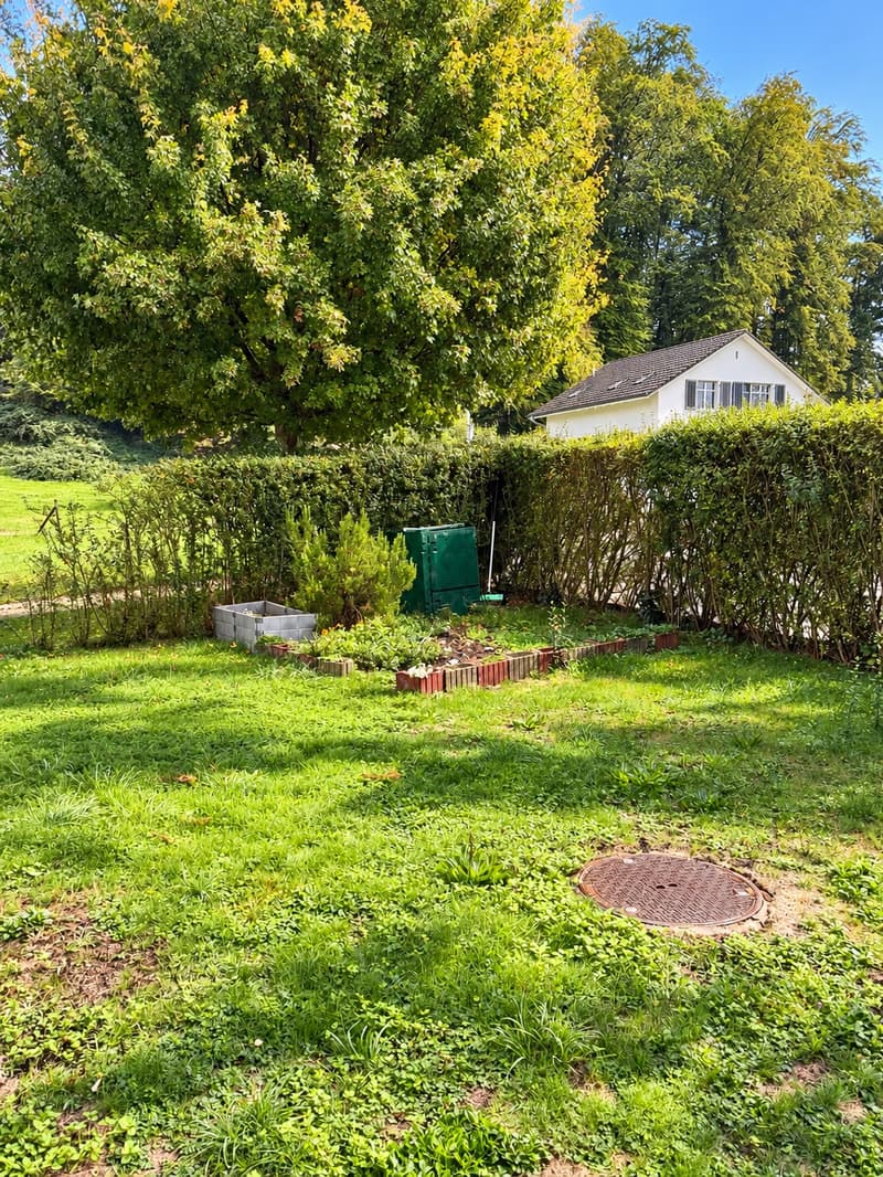 5.5-Zimmer-Gartenwohnung, 140 m², inkl. 2 Parkplätze (11)