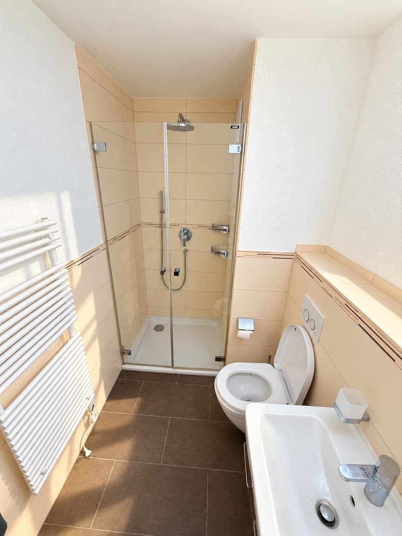 5.5-Zimmer-Gartenwohnung, 140 m², inkl. 2 Parkplätze (7)